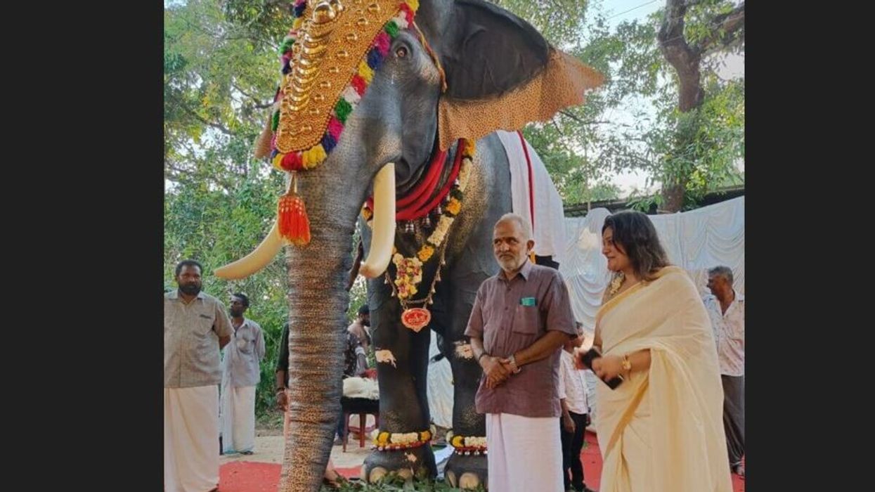 Kerala temple becomes first in India to replace elephant with robot for rituals