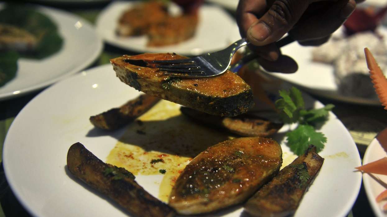 Hilsa fish absent for almost 50 years may make comeback in Uttar Pradesh's menu