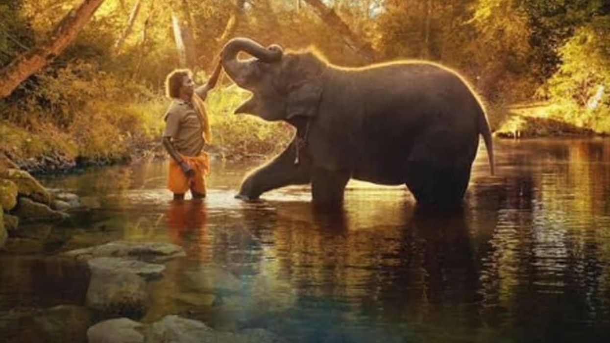 The Elephant Whisperers: Director dedicates Oscar to 'motherland India'