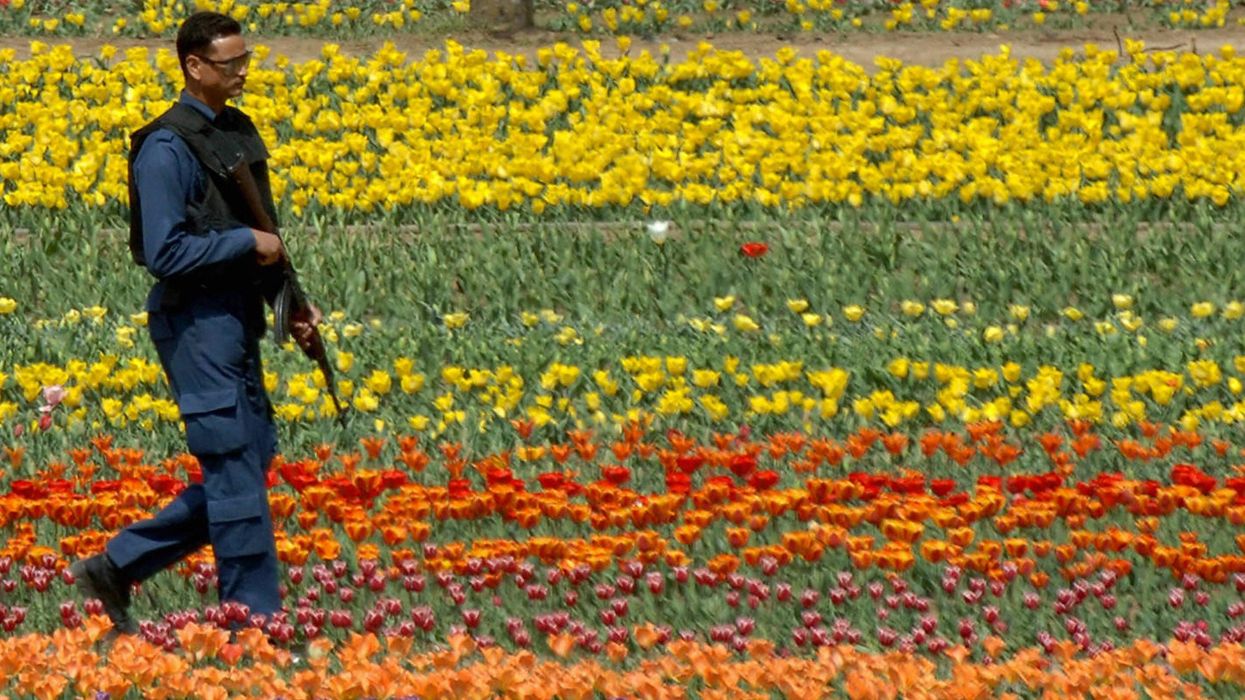 Asia's largest tulip garden in Kashmir opens for visitors on March 19th