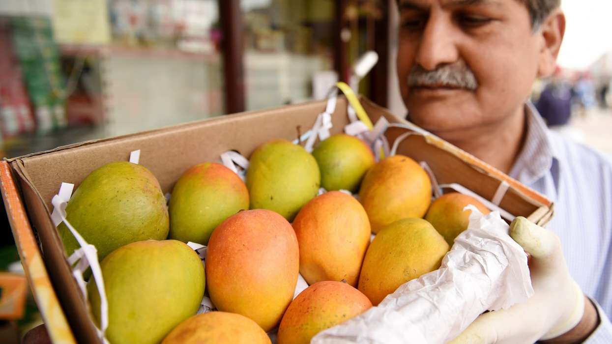 Innovative marketing: Indian mango trader launches monthly instalment payment option