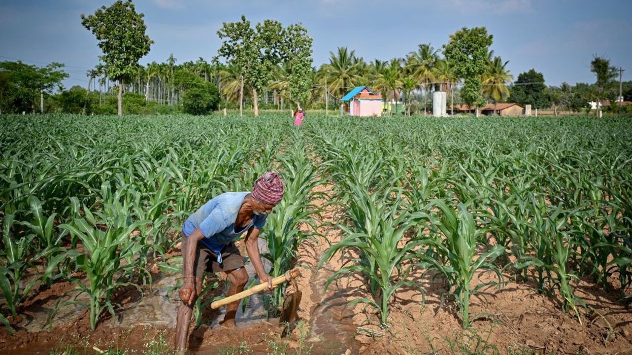 India's monsoon seen normal this year despite El Nino