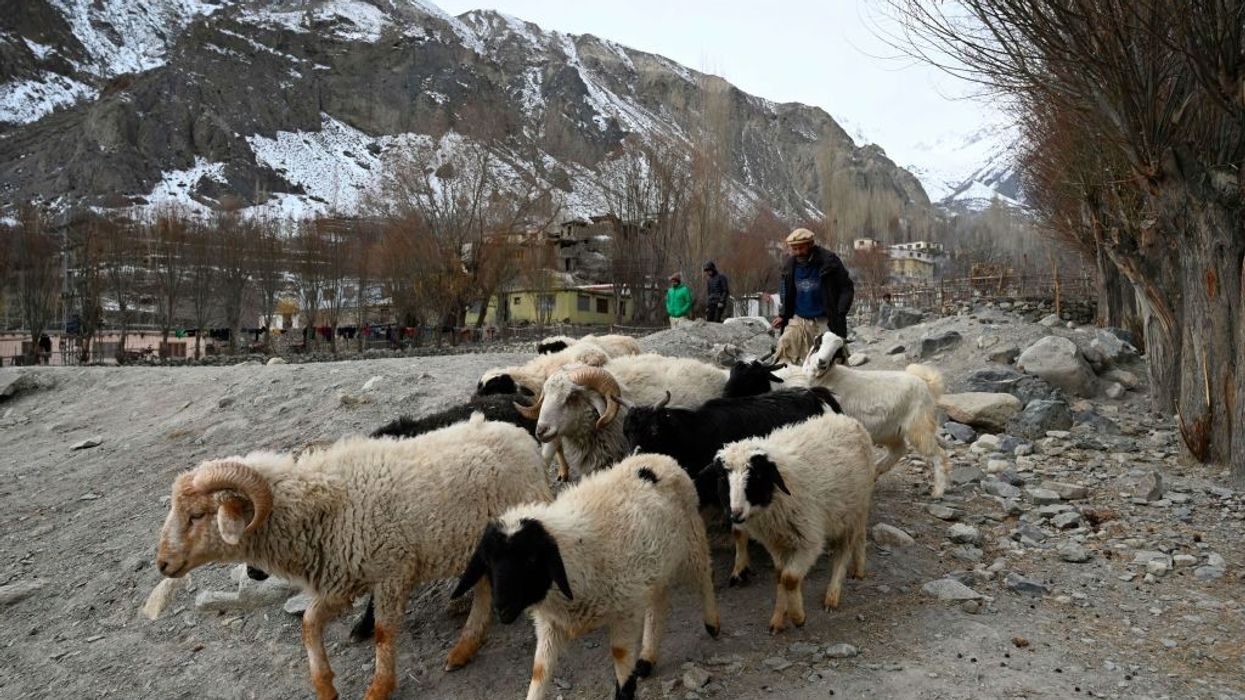 Avalanche kills 11 in northern Pakistan