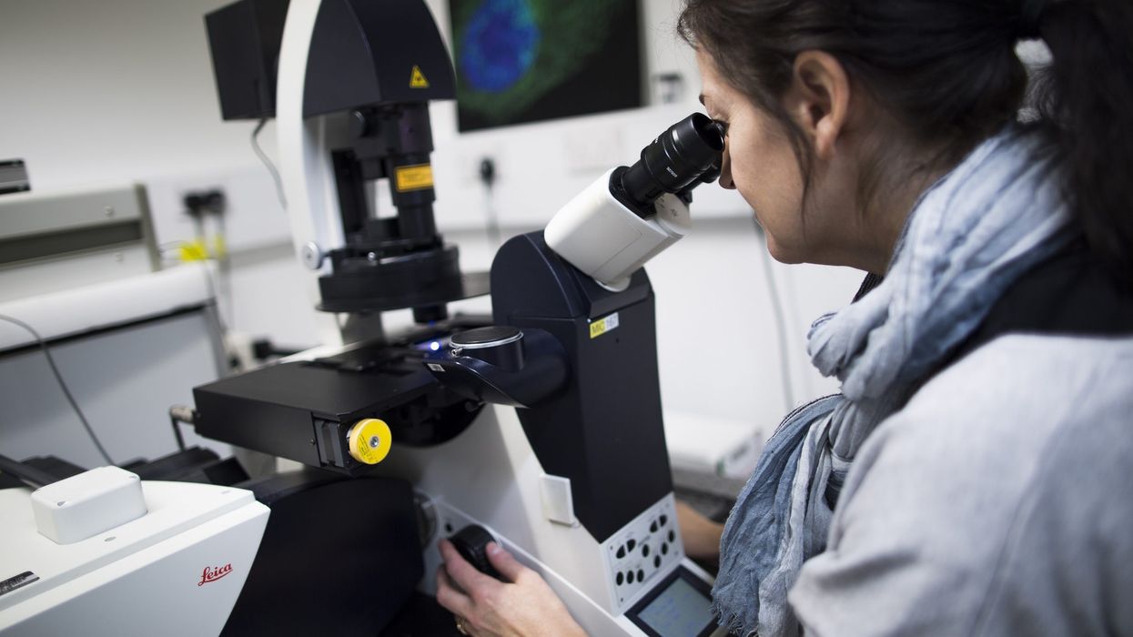 Engineered white blood cells can eliminate cancer cells: Study