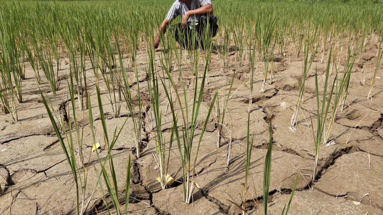 Relief for farmers as monsoon to cover whole of India by weekend