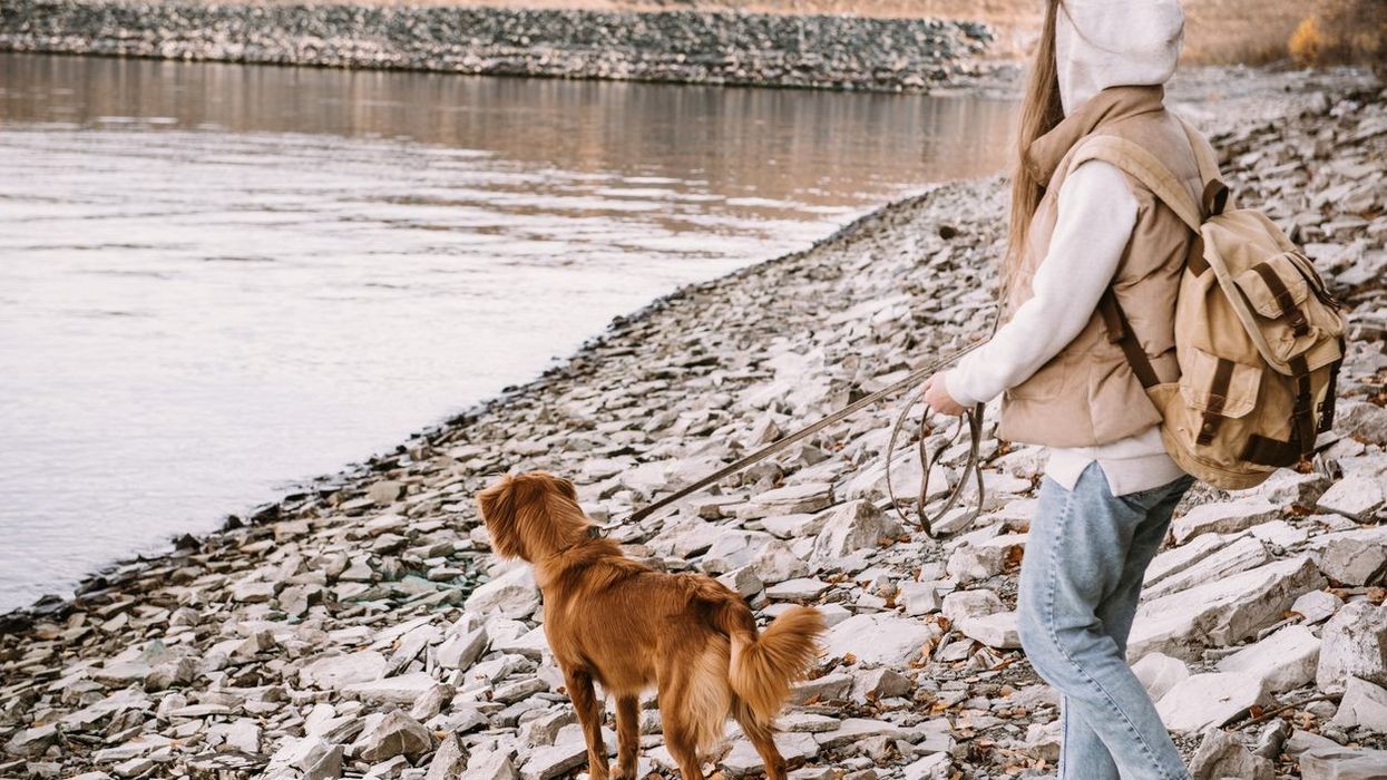 Family condemn Tik Tok amateur sleuths after UK woman's 'accidental' death