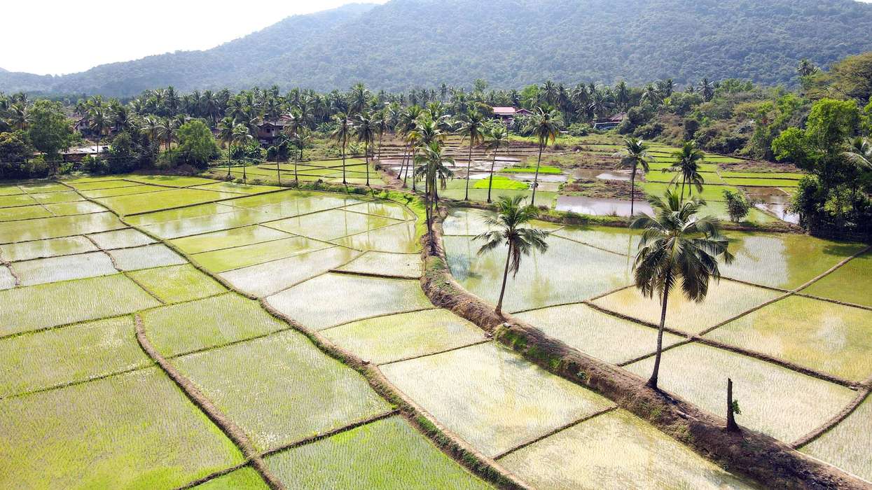 India's monsoon rains cover entire country