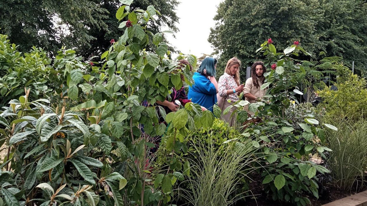 RHS Hampton Court Palace Garden Festival: Dealing with the hot stuff