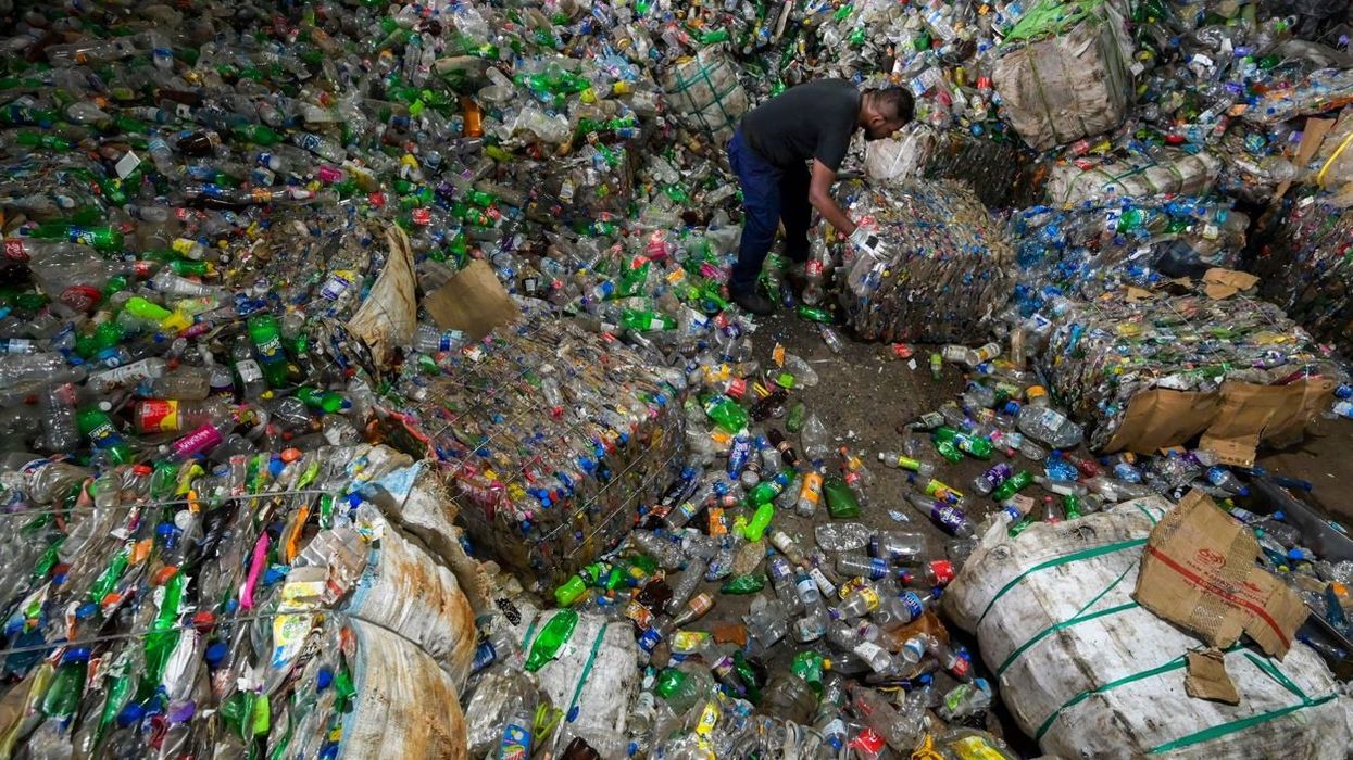 Elephant deaths prompt Sri Lanka to toughen law to tackle plastic waste