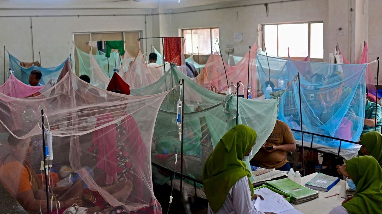 Bangladesh dengue outbreak sparks fear of record high death toll