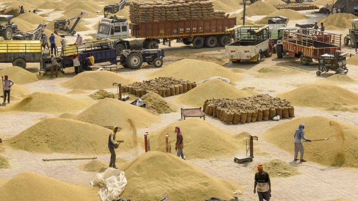 India's export ban and looming El Niño pose major threat to global rice stocks