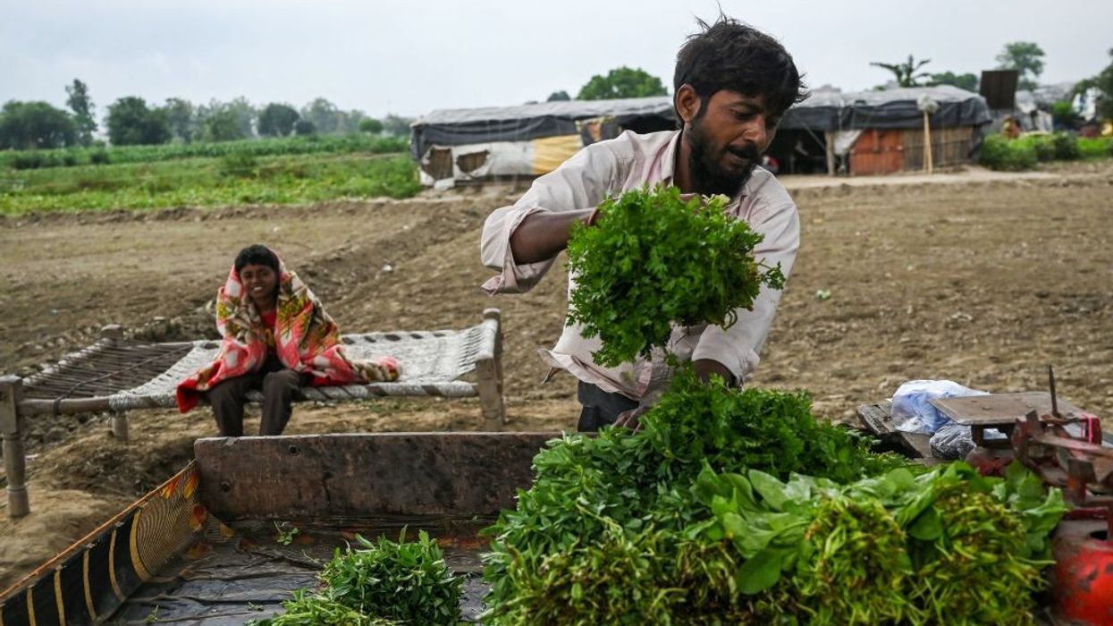 Record low rains threaten summer crops in India