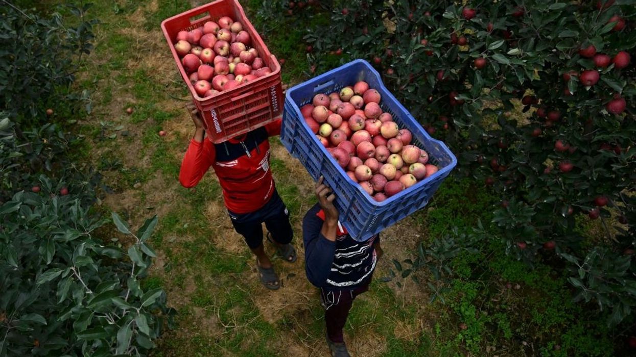 Kashmir apple growers protest US import duty cut