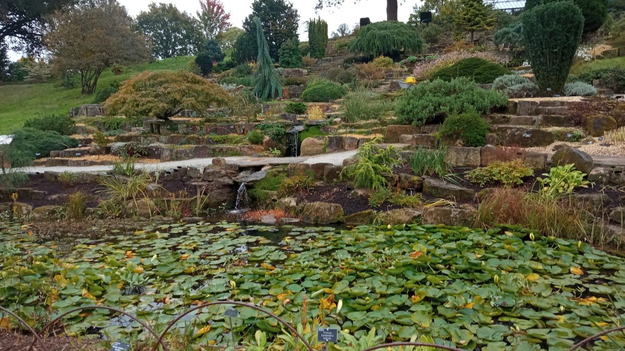 Joy and benefits of gardening