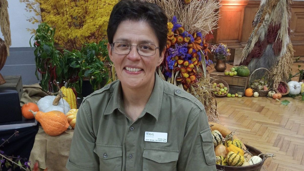 Going green with home gardens