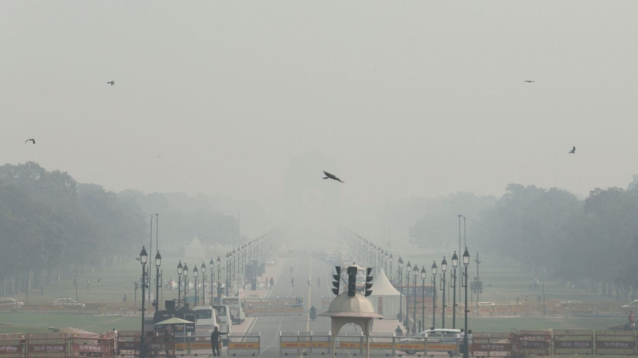 Pollution: New Delhi implements week-long vehicle ban