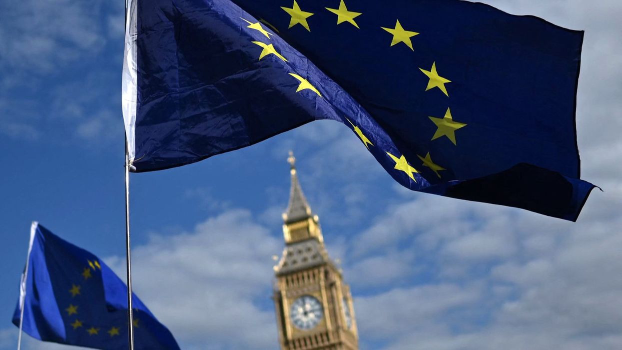EU single market return ‘has majority support’