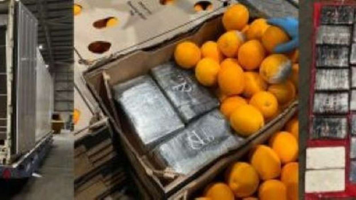 Two men jailed for smuggling illegal drugs worth £29 million