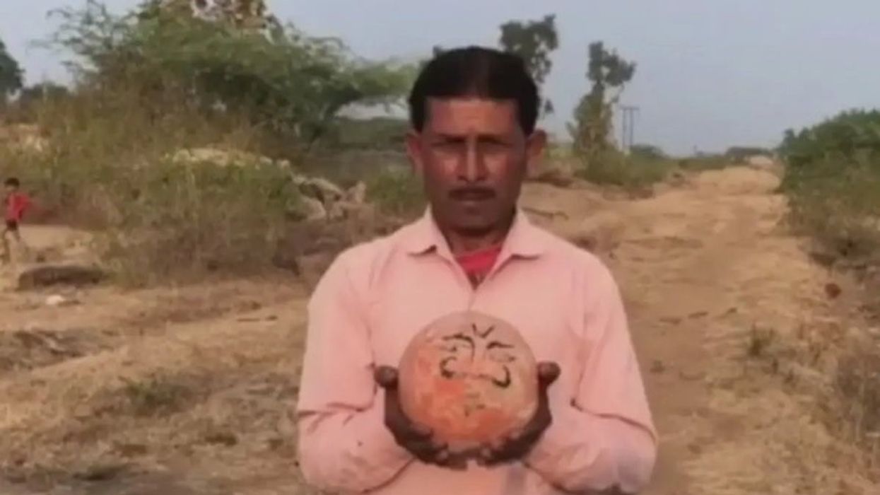 Fossilised dinosaur eggs 'worshipped' in Indian village