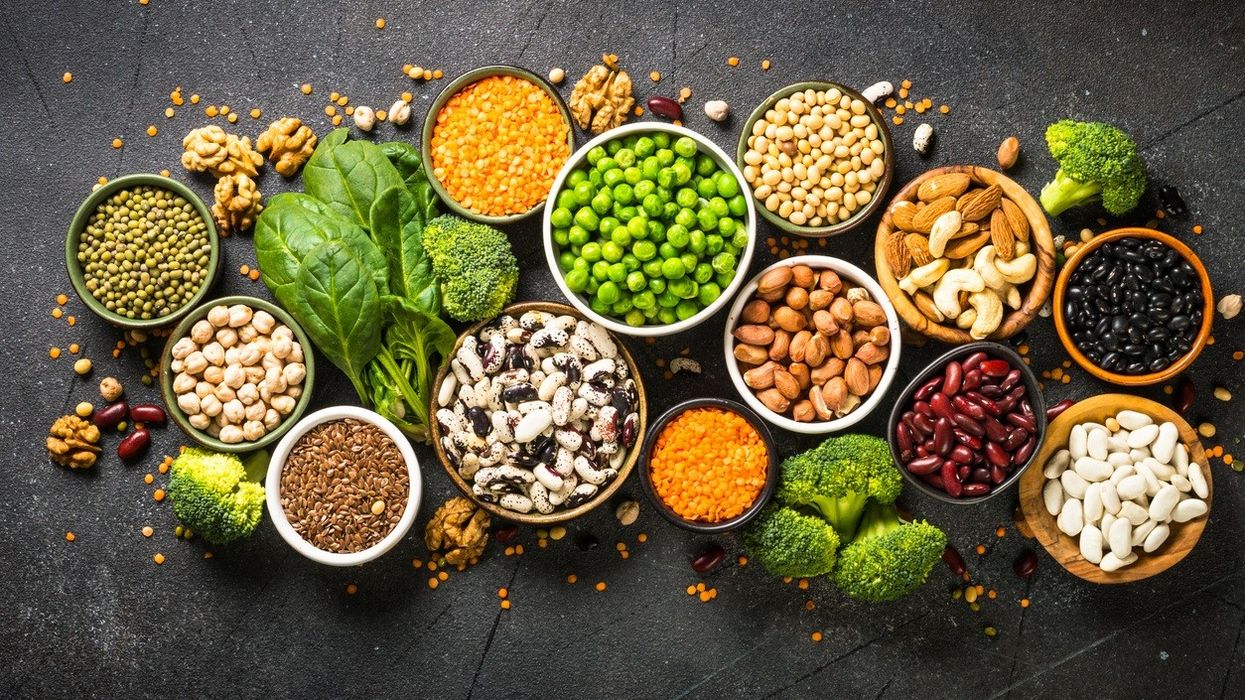 Netflix series about diet experiment on twins explores benefits of veganism