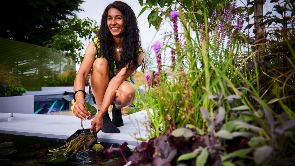 ‘Growing sector’ offers options for fruitful horticulture career