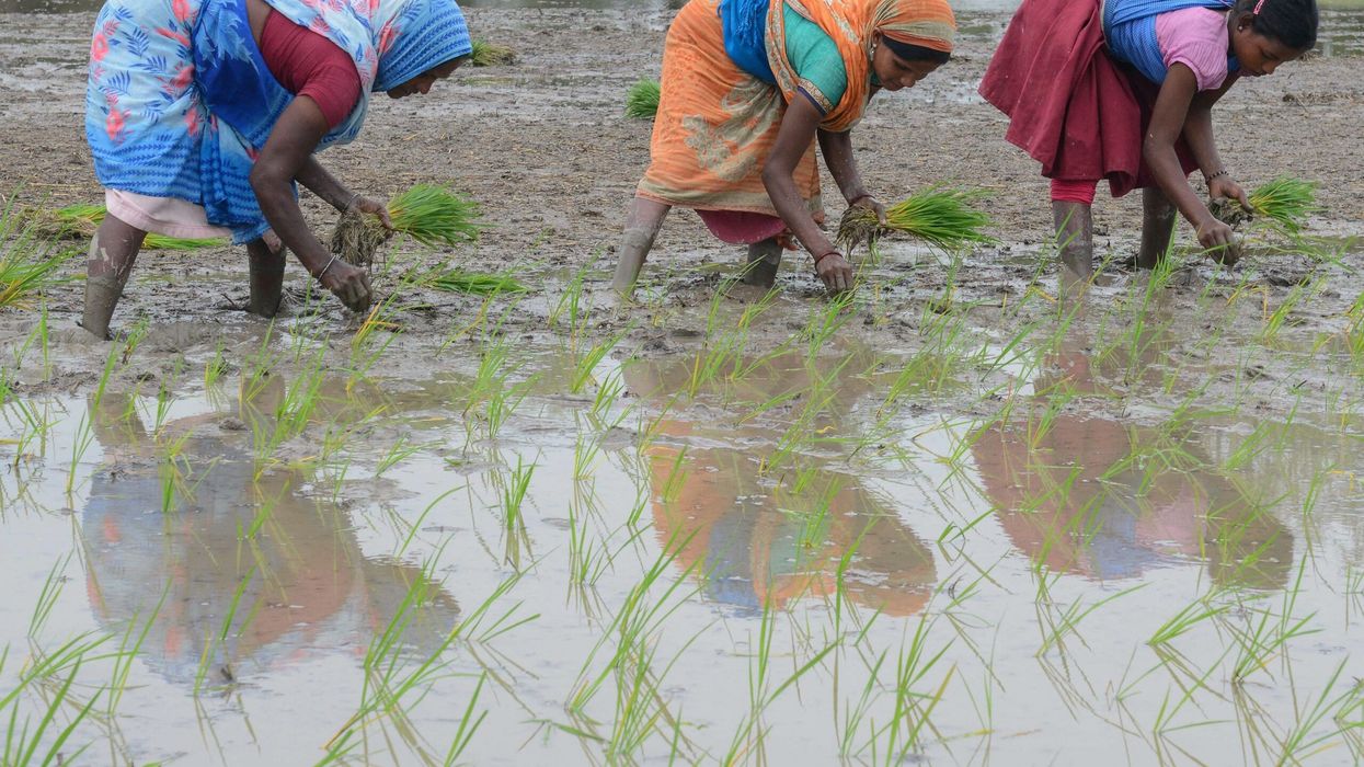 ‘India likely to double cash handouts to women farmers’