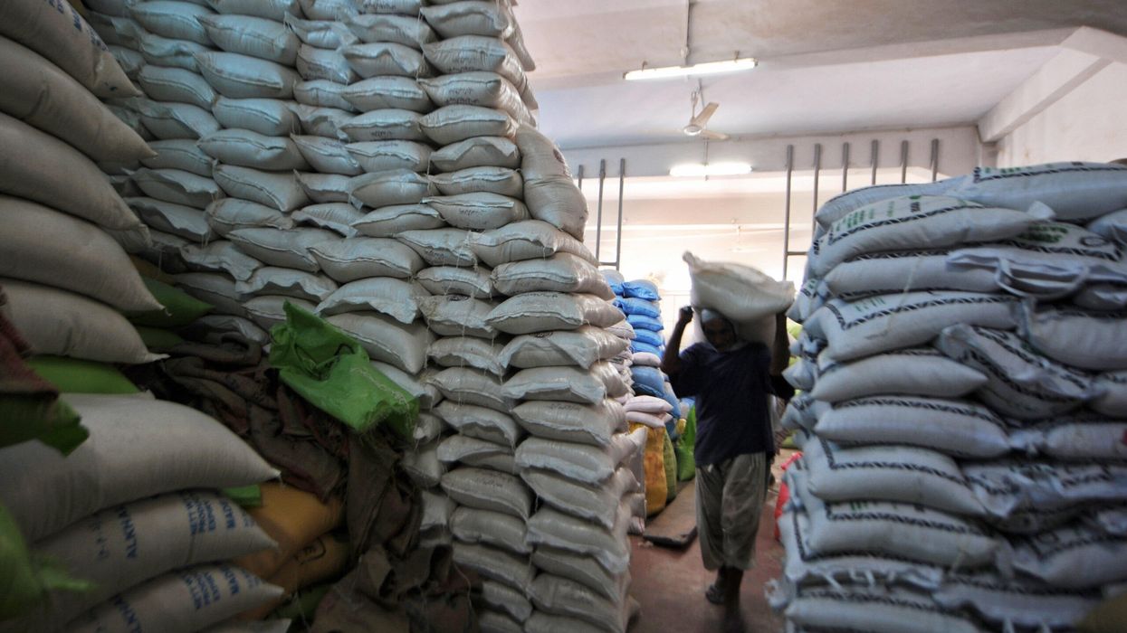 Global appetite for rice drives Pakistan exports to record high