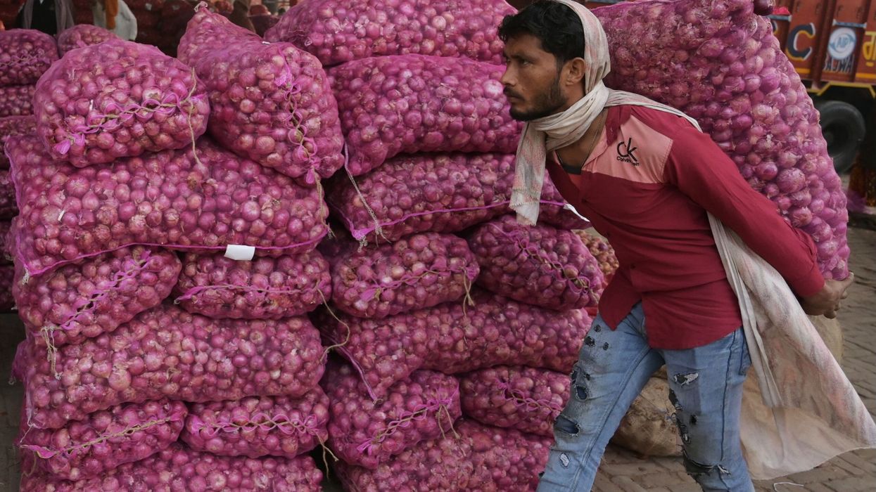 December ban on onion exports extended despite fall in prices