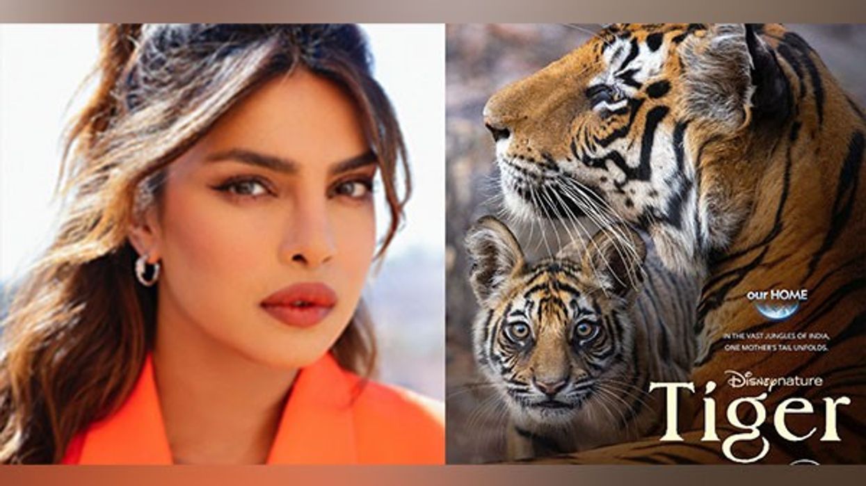 Priyanka Chopra lends voice for new film ‘Tiger’, announces release date