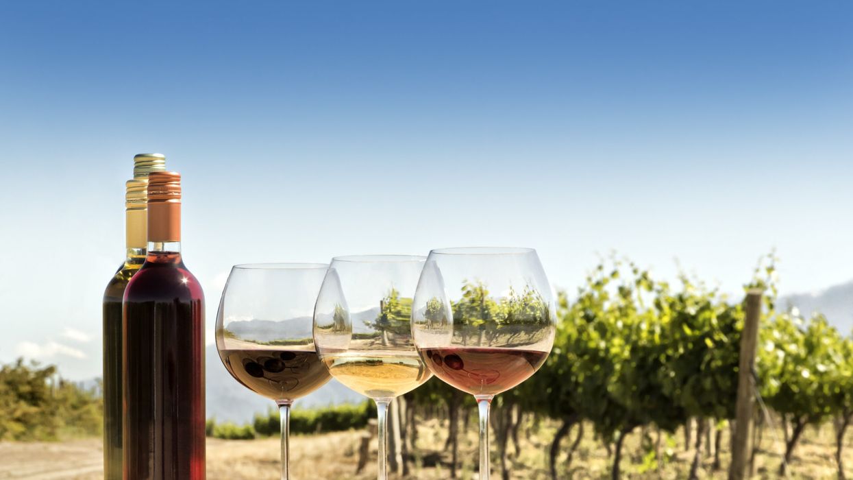 Wine farmers in South Africa 'fight back' to adapt to climate change