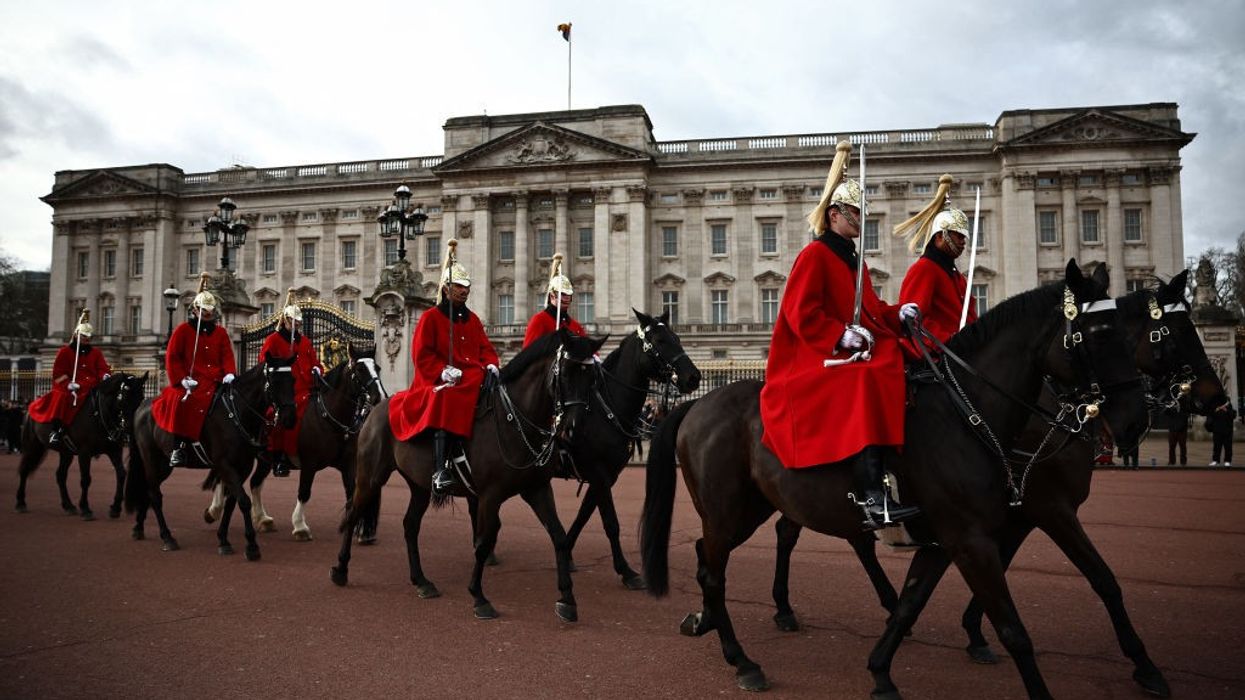 Two horses serious after London rampage: Minister