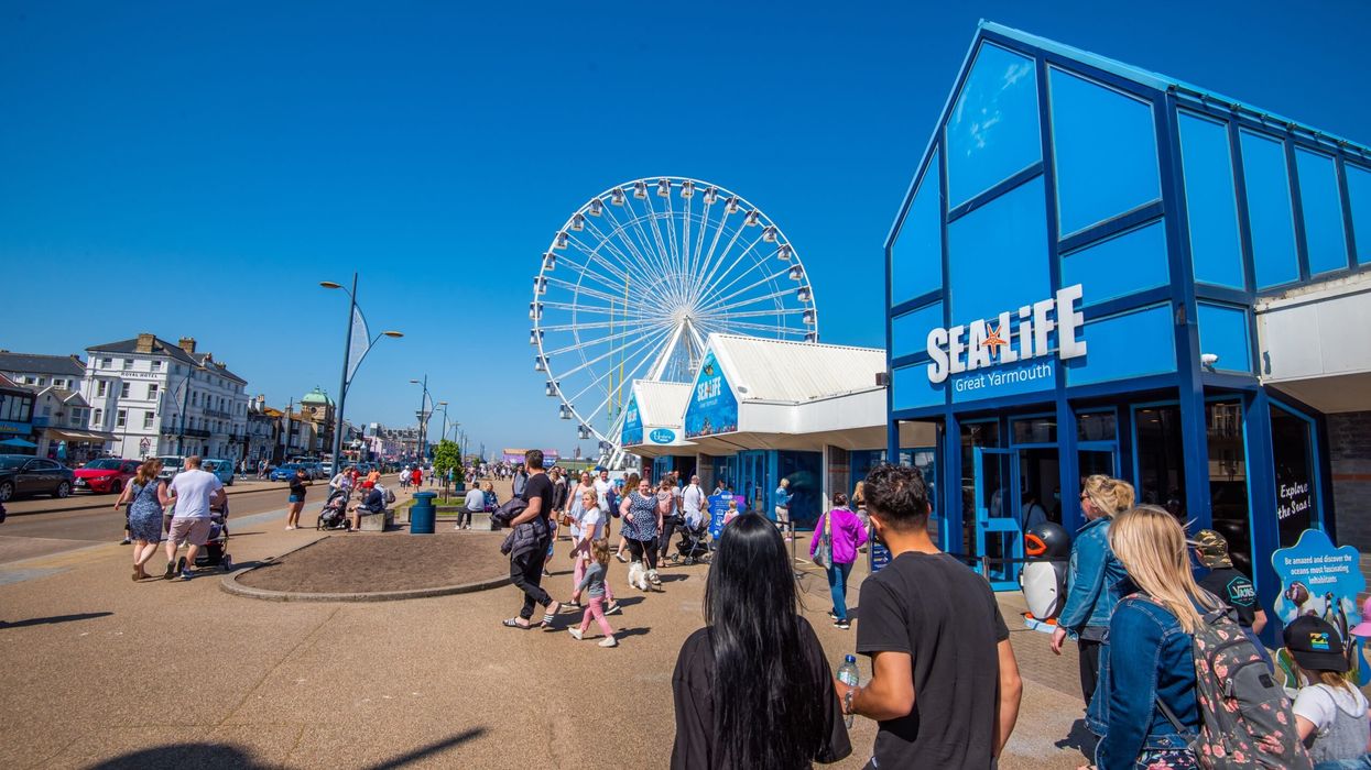 Discover the depths: Enchanting underwater world of Great Yarmouth's SEA LIFE Centre