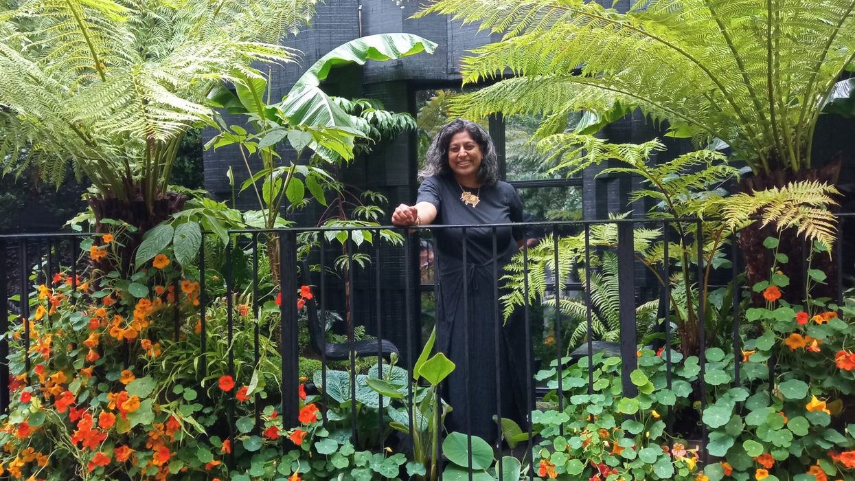 Kerala garden takes gold at Chelsea