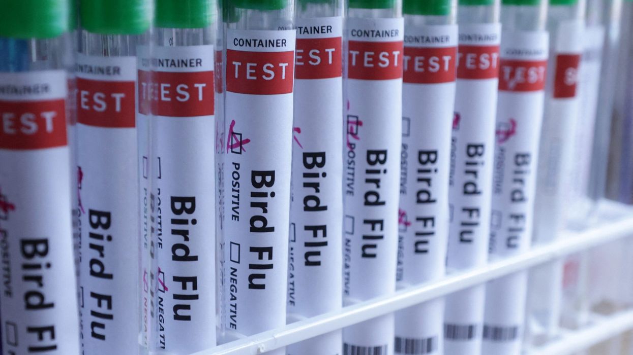 WHO confirms bird flu case in Indian child