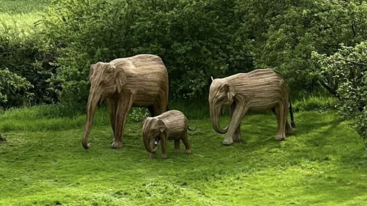 Boris Johnson's wife gifts wooden elephants from India on his birthday