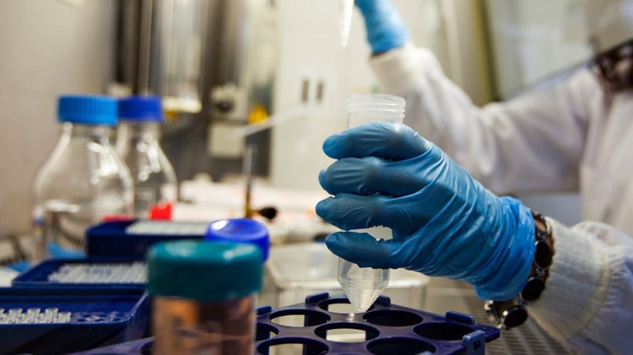 Scientists create first bone marrow model supporting human stem cells
