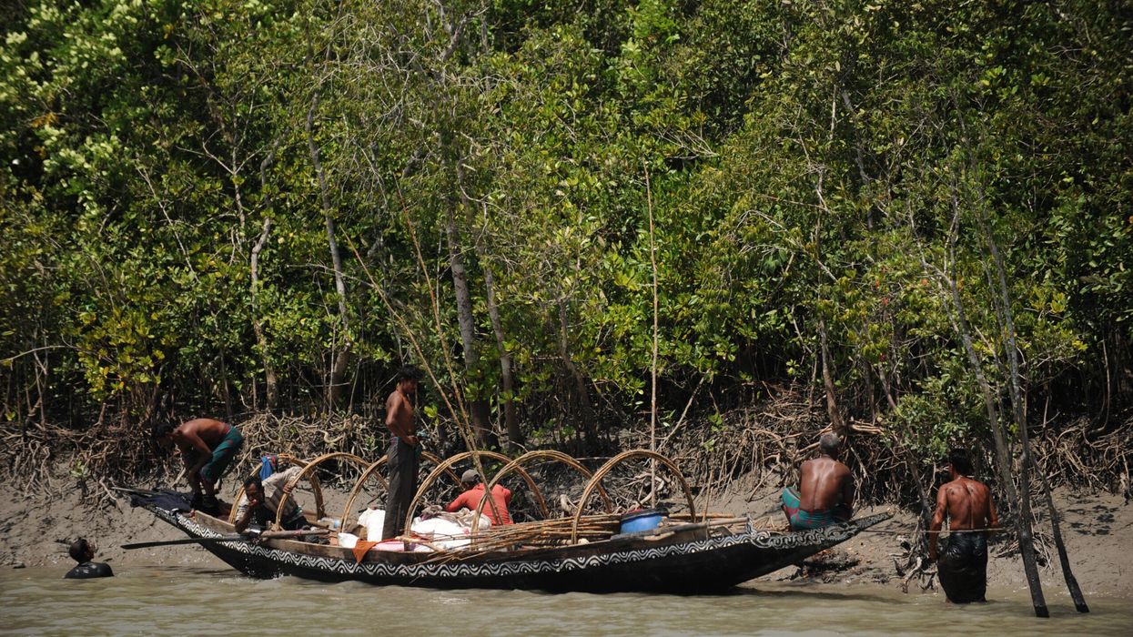 Bangladeshi police charge 26 for destroying mangrove forest to create shrimp farms