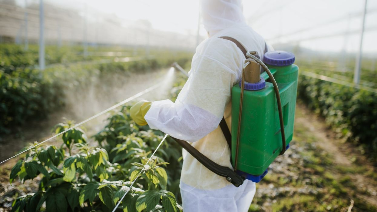 Cancer risk from pesticides exceeds that of smoking, reveals US study
