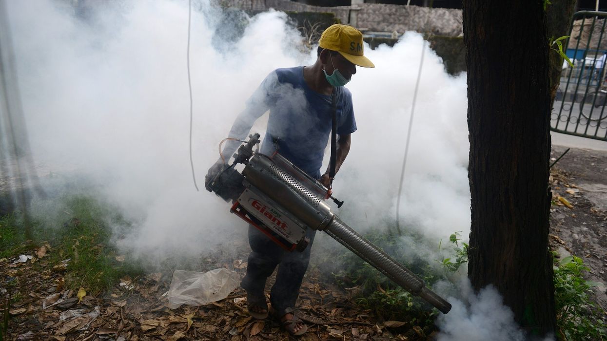 Viral encephalitis claims 56 lives in Gujarat