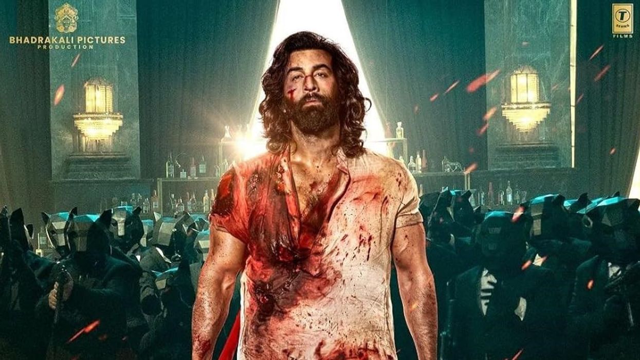 'Animal' tops IIFA 2024 nods, followed by 'Rocky Aur Rani'