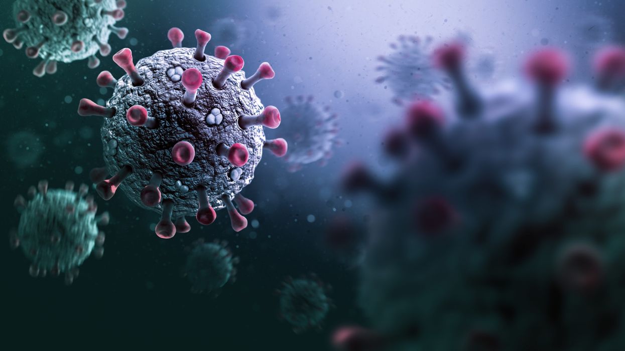 Mutations in coronavirus spike protein enhance brain infection, study finds