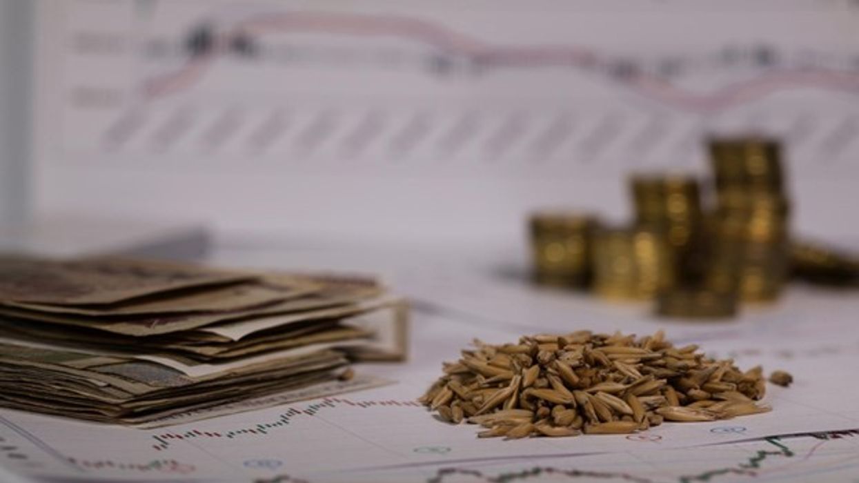 How to Choose the Best Commodity for You