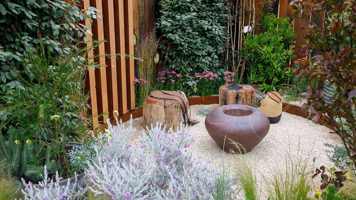 Blooming brilliance: RHS Hampton Court Palace Garden Festival 2024 dazzles with innovation and sustainability