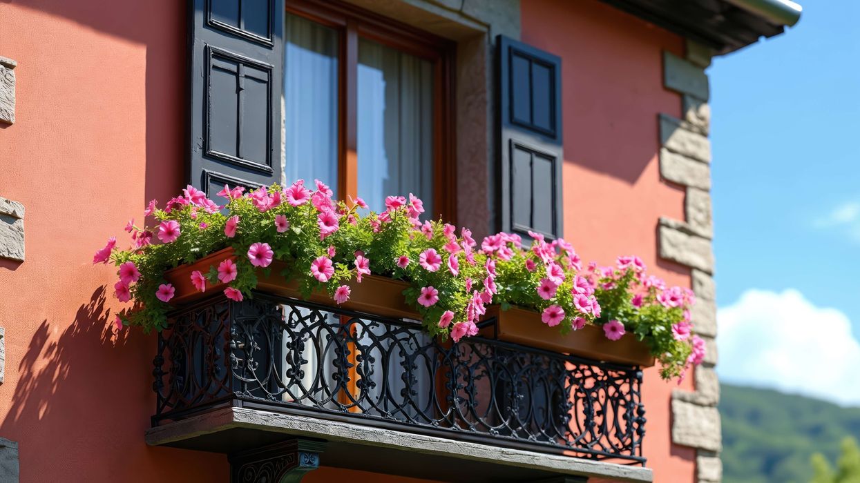Flower Window Boxes: The Secret to Stylish Outdoor Decor