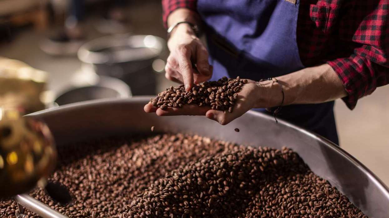 10 Coffee-Making Essentials on Amazon UK to Create Your Own Home Café