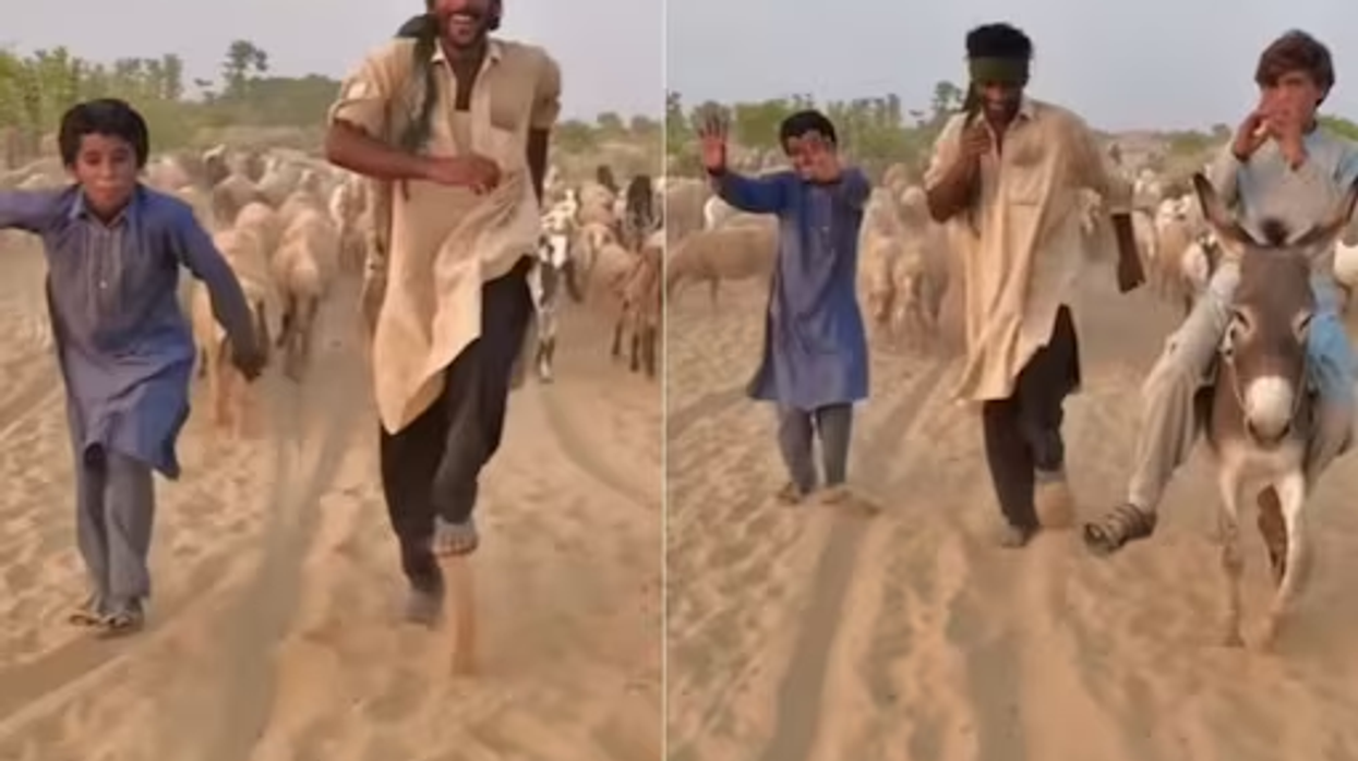 Shepherd wins hearts with his dance moves on THIS popular Bollywood song – watch viral video