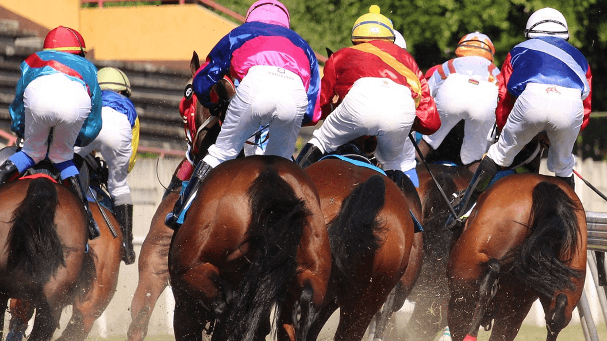 Online vs. Offline Betting: What's Best for Pegasus World Cup 2024?