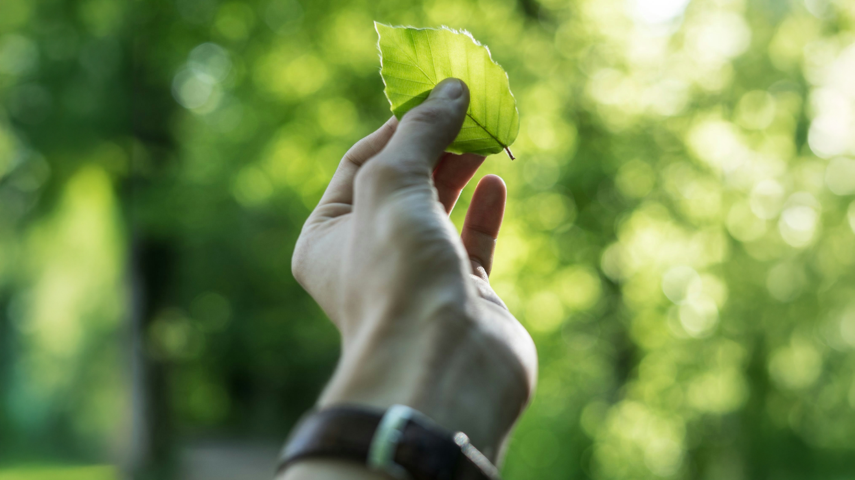 10 Ways to Live More Sustainably