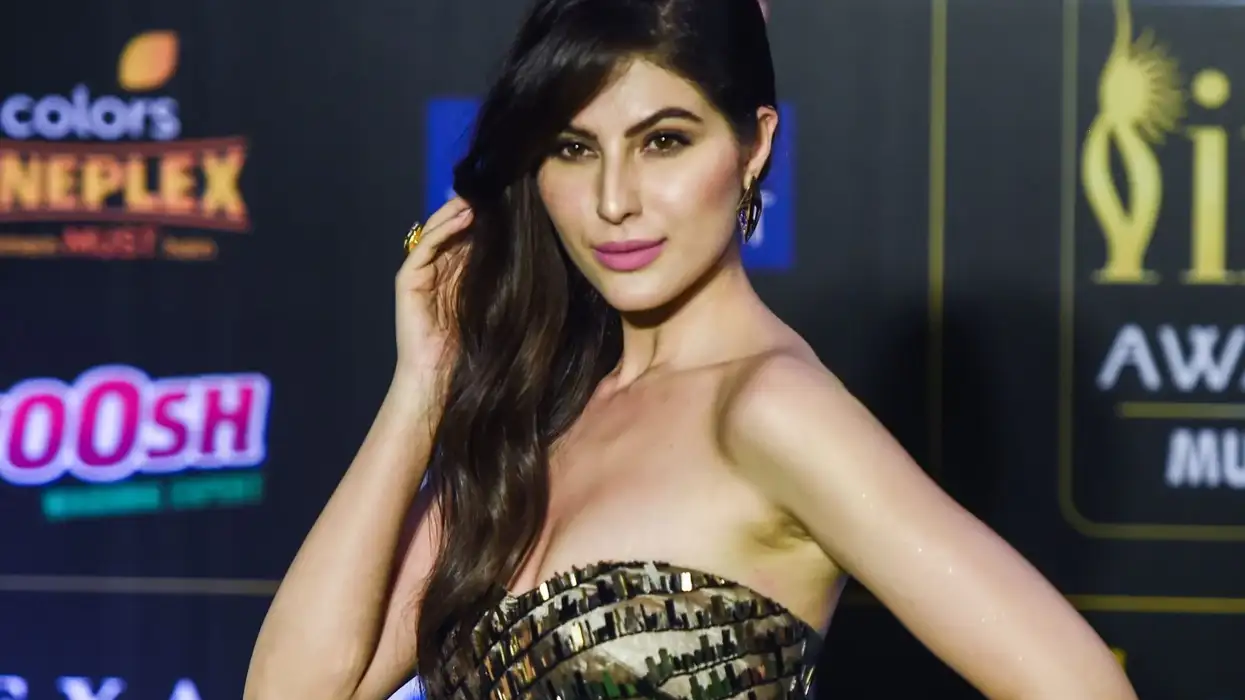 Exclusive! Elnaaz Norouzi: I want to work with Sriram Raghavan and Hrithik Roshan