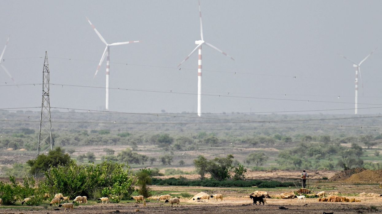 In this photograph taken on August 7, 2024, goats graze near windmills on the outskirts of Jaisalmer, in India's desert state of Rajasthan. (Photo: Getty Images)
